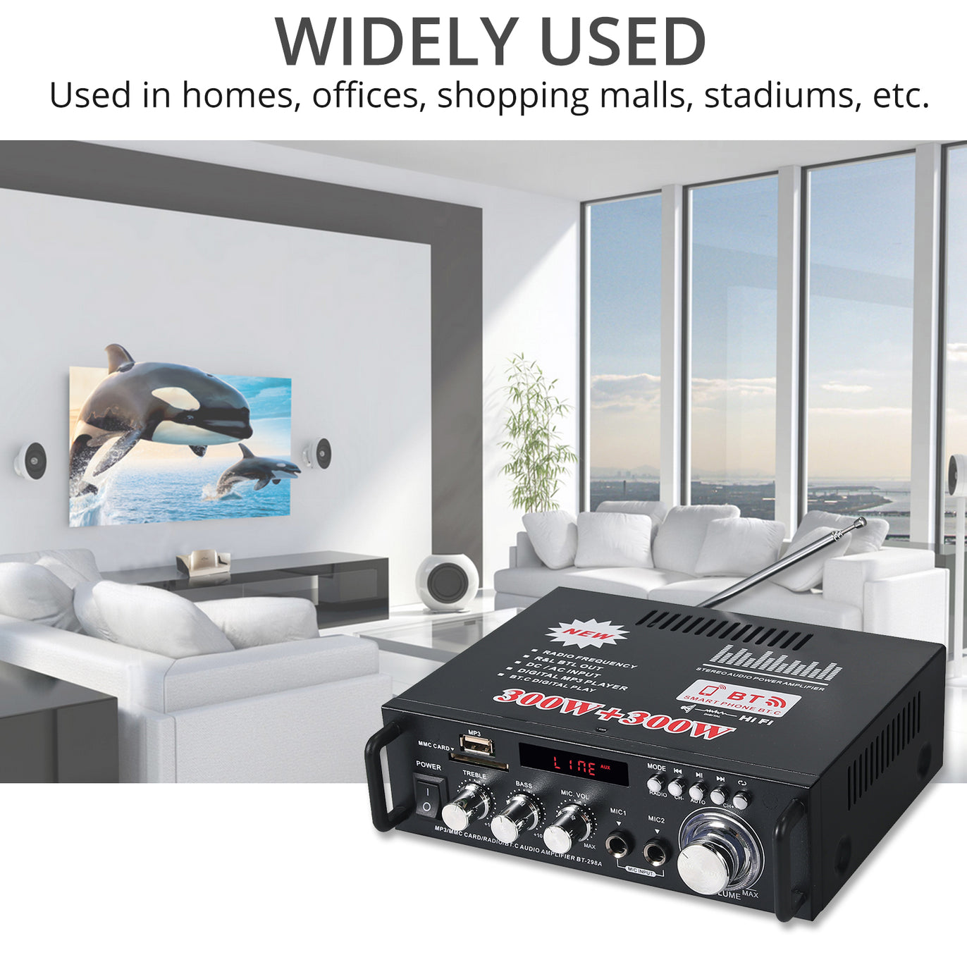 PROZOR Bluetooth Stereo Audio Amplifier 300 W + 300 W Audio Amplifier Mini Digital Audio Amplifier HiFi Music SD USB FM 12 V/220 V with IR Remote Control