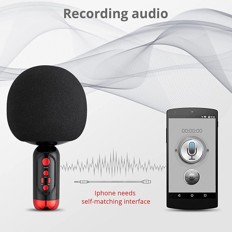 PROZOR Wireless Karaoke Microphone with Speaker