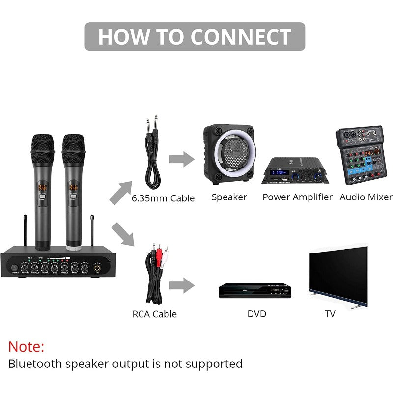 PROZOR UHF Wireless Dual Cordless Microphone System