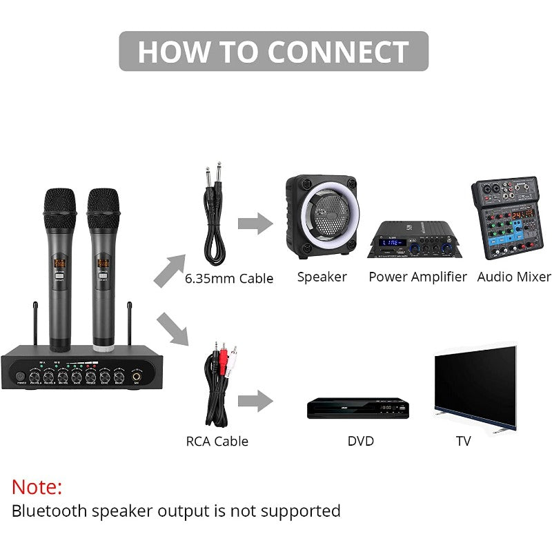 PROZOR UHF Wireless Dual Cordless Microphone System – prozor store