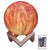 PROZOR Moon Night Light with Stand 5.9inch 3D Moon Lights